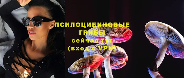 альфа пвп Богородицк