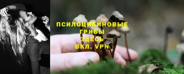альфа пвп Богородицк