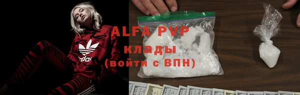 гашик Богданович