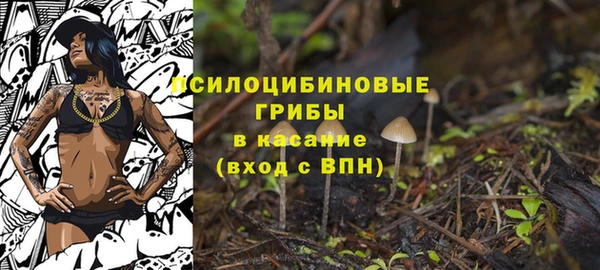 дурь Белоозёрский