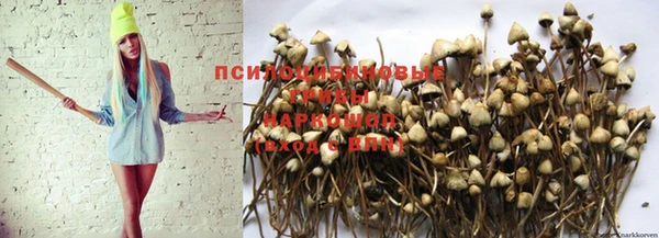дурь Белоозёрский