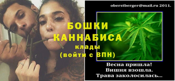 гашик Богданович