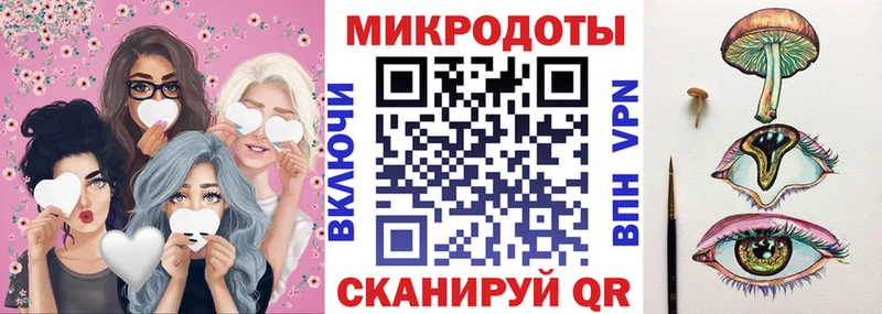 продажа наркотиков  Большой Камень  Псилоцибиновые грибы Psilocybine cubensis 